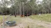 190 Tableland Road, Taunton, Qld 4674-Image