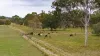 190 Tableland Road, Taunton, Qld 4674-Image