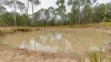 190 Tableland Road, Taunton, Qld 4674-Image