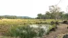 190 Tableland Road, Taunton, Qld 4674-Image