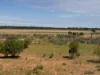 1940 Lakemere Road, Bourke, NSW 2840-Image