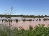 1940 Lakemere Road, Bourke, NSW 2840-Image