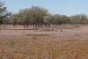1940 Lakemere Road, Bourke, NSW 2840-Image