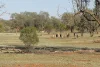 1940 Lakemere Road, Bourke, NSW 2840-Image