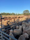 1940 Lakemere Road, Bourke, NSW 2840-Image
