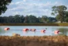 1948 Coach Road, Morven NSW 2660-Image
