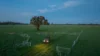 1948 Coach Road, Morven NSW 2660-Image