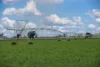 1948 Coach Road, Morven NSW 2660-Image