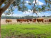 2-5 Parsonage Lane, Tahara Bridge, Vic 3315-Image
