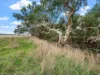 2-5 Parsonage Lane, Tahara Bridge, Vic 3315-Image