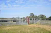 2, Boundary Road, Inverloch, Vic 3996-Image