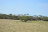 2, Boundary Road, Inverloch, Vic 3996-Image