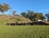 2 Cable Bend Road, Stonyford, Vic 3260-Image