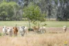 2, Railway Terrace, Boyne Valley, Qld 4680-Image