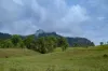 2 Ryan Road, Tarome, Qld 4309-Image
