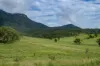 2 Ryan Road, Tarome, Qld 4309-Image
