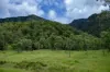 2 Ryan Road, Tarome, Qld 4309-Image