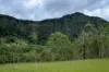 2 Ryan Road, Tarome, Qld 4309-Image
