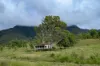 2 Ryan Road, Tarome, Qld 4309-Image
