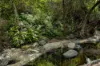 2 Ryan Road, Tarome, Qld 4309-Image