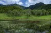 2 Ryan Road, Tarome, Qld 4309-Image