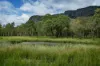 2 Ryan Road, Tarome, Qld 4309-Image