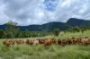 2 Ryan Road, Tarome, Qld 4309-Image
