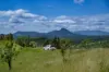 2 Ryan Road, Tarome, Qld 4309-Image