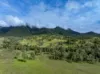 2 Ryan Road, Tarome, Qld 4309-Image