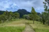 2 Ryan Road, Tarome, Qld 4309-Image