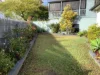 20 Collingwood Street, Paddington QLD 4064-Image