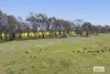 20, Mortlake - Ararat Road, Maroona, Vic 3377-Image