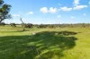201 Mcgormans Road, Mount Pleasant, SA 5235-Image