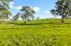201 Mcgormans Road, Mount Pleasant, SA 5235-Image