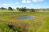 201 Mcgormans Road, Mount Pleasant, SA 5235-Image