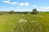201 Mcgormans Road, Mount Pleasant, SA 5235-Image
