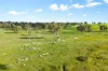 201 Mcgormans Road, Mount Pleasant, SA 5235-Image