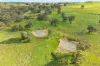201 Mcgormans Road, Mount Pleasant, SA 5235-Image