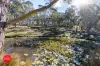 201 Sandhills Road, Mount Fairy, NSW 2580-Image