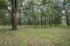 202 Lloyds Road, Pillar Valley, NSW 2462-Image