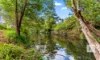 203 Mount Coxcomb Road, Upper Lansdowne, NSW 2430-Image