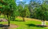 203 Mount Coxcomb Road, Upper Lansdowne, NSW 2430-Image