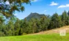 203 Mount Coxcomb Road, Upper Lansdowne, NSW 2430-Image