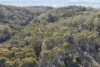 2049 Bobeyan Road, Shannons Flat, NSW 2630-Image