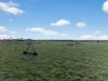 205 Freshwaters Road, Kilmany, Vic 3851-Image