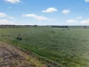 205 Freshwaters Road, Kilmany, Vic 3851-Image