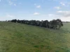 205 Freshwaters Road, Kilmany, Vic 3851-Image