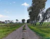 205 Freshwaters Road, Kilmany, Vic 3851-Image