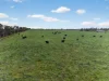 205 Freshwaters Road, Kilmany, Vic 3851-Image