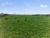 205 Freshwaters Road, Kilmany, Vic 3851-Image